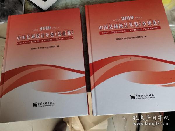 中国县域统计年鉴-2019（县市卷乡镇卷套装共2本）