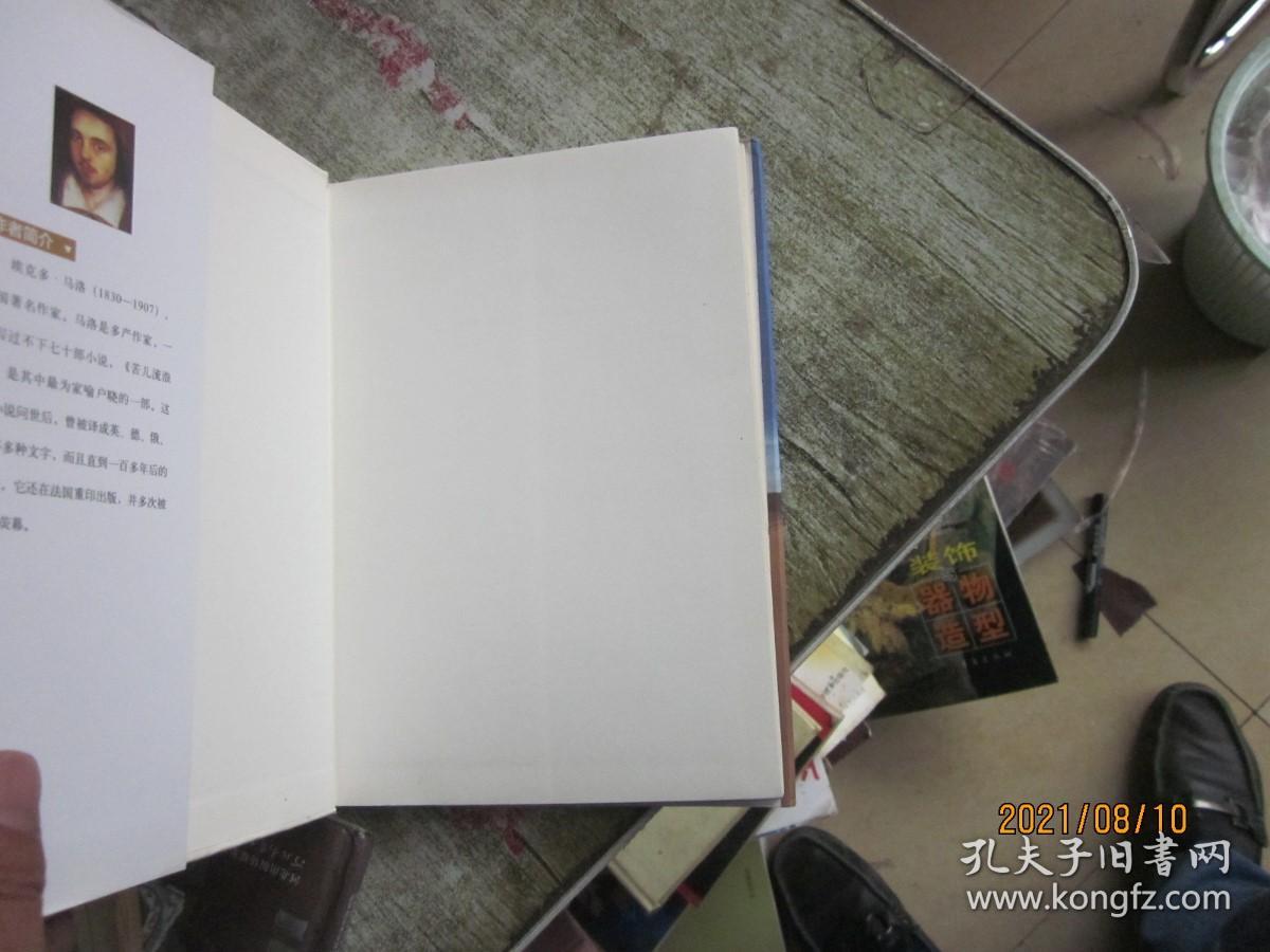 大悦读精装（全译本）名著阅读 苦儿流浪记