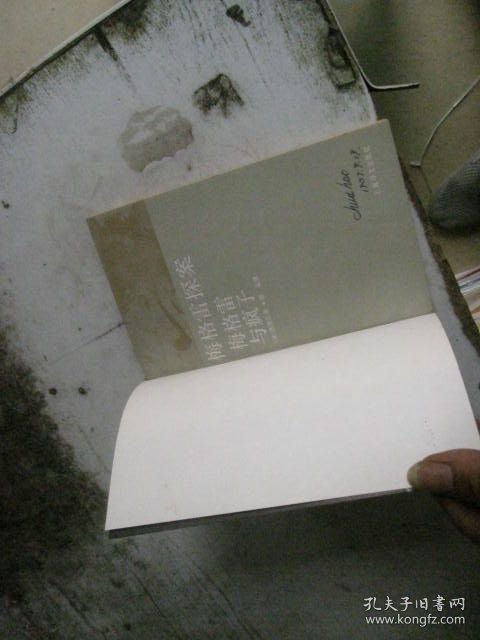 梅格雷探案 梅格雷与疯子