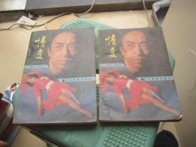 情變 上下