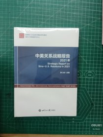 中美关系战略报告2021年