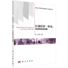 区域经济一体化：东亚地区的实践