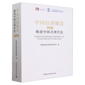 中国经济报告（2023）