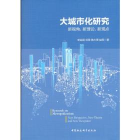 大城市化研究-（新视角、新理论、新观点）