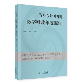 2020年中国数字财政年度报告