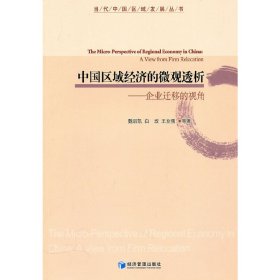 中国区域经济的微观透析