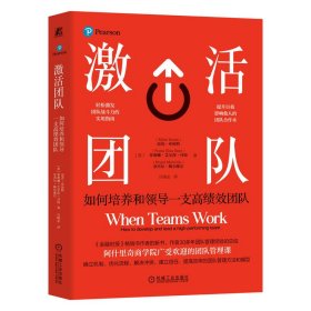 激活团队：如何培养和领导一支高绩效   ［英］迈克·布伦特团队