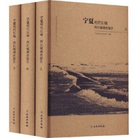 宁夏明代长城 西长城调查报告(全3册)