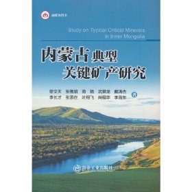 内蒙古典型关键矿产研究