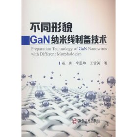 不同形貌GaN纳米线制备技术