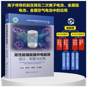 高性能储能器件电解质：设计、制备与应用