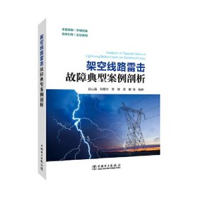 架空线路雷击故障典型案例剖析