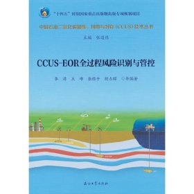 CCUS—EOR全过程风险识别与管控