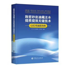 致密砂岩油藏注水提质提效关键技术——以红河油田为例