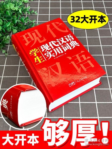 英汉双解实用词典+学生现代汉语实用词典（共2册）新编现代汉语新华字典中小学生英语辞书工具书小学初中高中 开心辞书