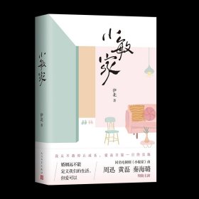小敏家 周迅 黄磊同名电视剧 伊北著 现代都市家庭婚恋婚姻小说书
