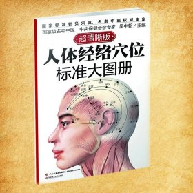 正版 人体经络穴位图标准大图册 超清晰 人体经络穴位图解书