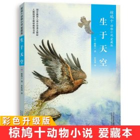 生于天空四年级上册彩色升级版椋鸠十动物小说爱藏本3  11-14岁小学生课外阅读书籍五六年级课外日本作家童话故事儿童故事读物图书