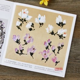 中国画技法：玉兰花