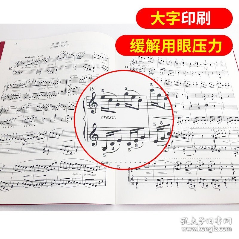 布格缪勒25首钢琴简易进阶练习曲 OP 100 作品 100 江晨系列升级版 钢琴初学入门教程教材 钢琴乐谱练习 浙江教育出版社