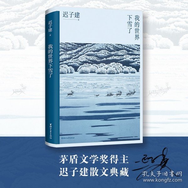 我的世界下雪了（迟子建散文系列）