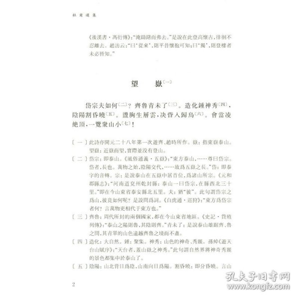 杜甫选集：中国古典文学名家选集