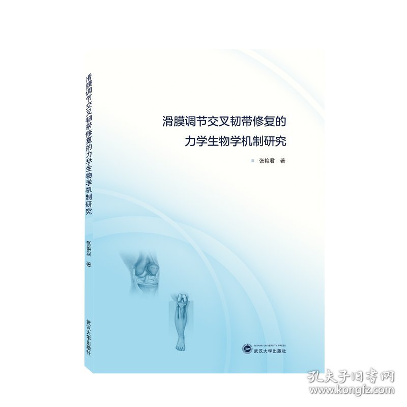 滑膜调节交叉韧带修复的力学生物学机制研究