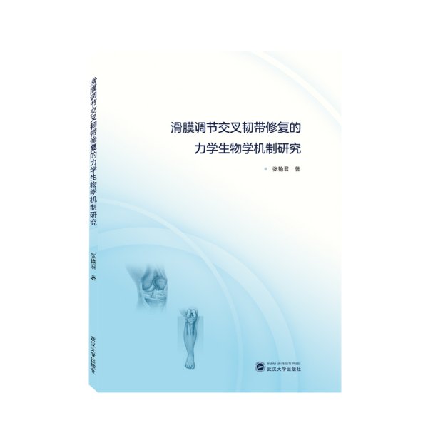滑膜调节交叉韧带修复的力学生物学机制研究