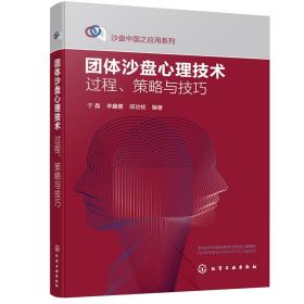 沙盘中国之应用系列--团体沙盘心理技术：过程、策略与技巧