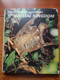 （英文原版）THE ENCYCLOPEDIA OF THE ANIMAL KINGDOM（动物王国百科全书)