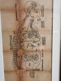 民国中医正人明堂图上海天宝书局石印四幅针灸挂图