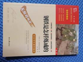 钢铁是怎样炼成的 【中小学生课外阅读 】