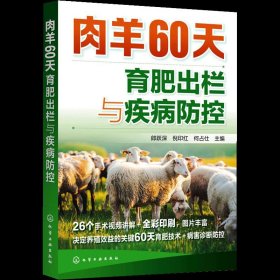 肉羊60天育肥出栏与疾病防控肉羊生产概况养羊技术肉羊养殖技术羊病诊断与防治羊病治疗全书养肉羊肥羊书籍