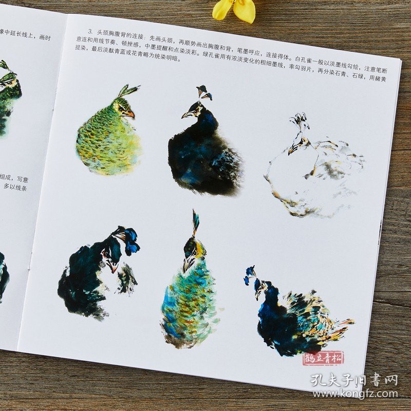 学画宝典 孔雀 中国画技法/李多木/写意翎毛画法步骤 画谱图集书籍