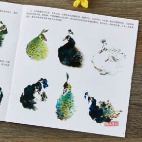 学画宝典 孔雀 中国画技法/李多木/写意翎毛画法步骤 画谱图集书籍