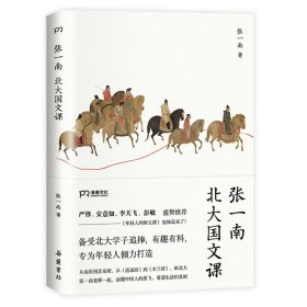 现货正版 张一南北大国文课 张一南 著 年轻人的国文课姊妹篇  浦睿文化岳麓书社