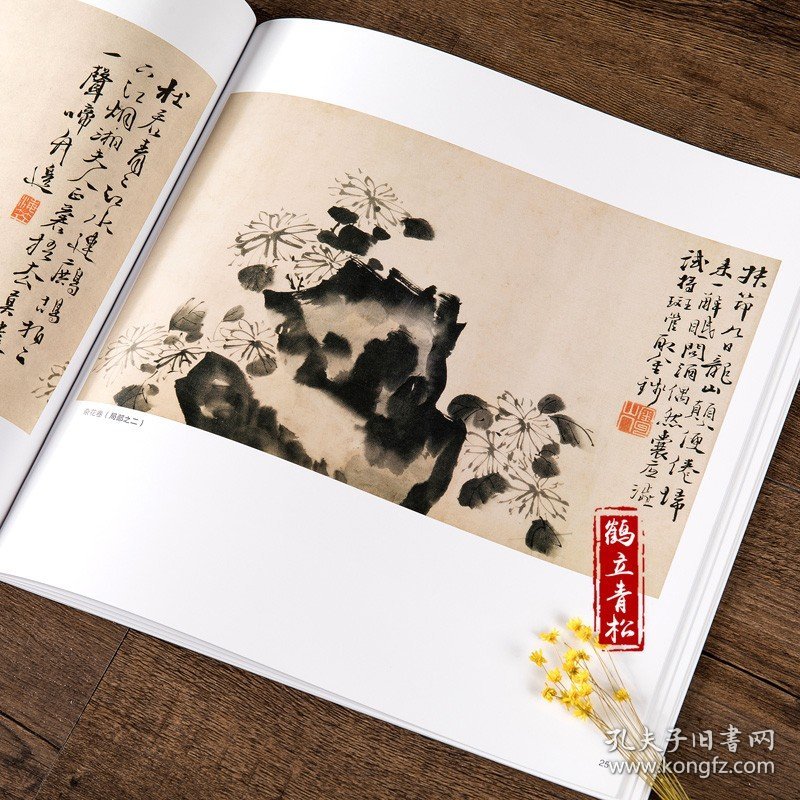 徐渭书画集 中国画大师经典系列丛书 徐渭 写意花卉 杂花 山水人物 泼墨水墨