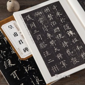 唐欧阳询皇甫君碑 皇甫诞碑历代碑帖精粹 薛元明主编 楷书毛笔书法字帖 安徽美术