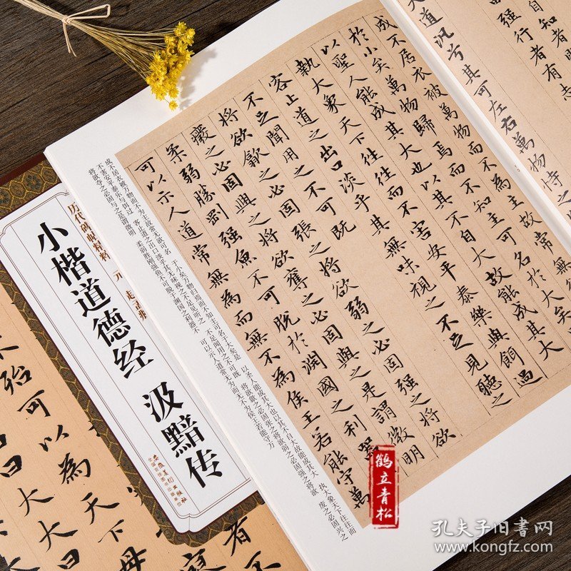 元赵孟頫小楷道德经汲黯传 简体旁注 杜浩 楷书碑帖毛笔字帖 赵孟俯小楷道德经赵孟俯道德经字帖 小楷毛笔字帖临摹