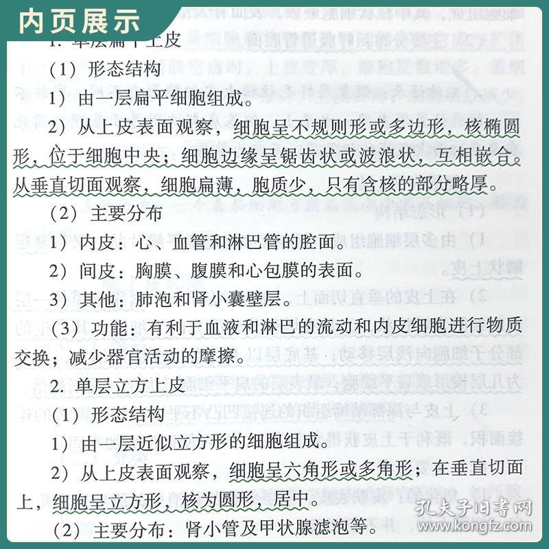 正版 组织学与胚胎学协和听课笔记系列主编 李晗歌 吴春虎考点重点突出紧贴临床图表形式加强记忆 中国协和医科大学出版社