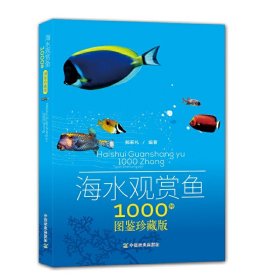 海水观赏鱼1000种图鉴珍藏版观赏鱼养殖热带鱼饲养方法海底生物彩色图鉴神秘动物图鉴海水观赏鱼饲养指南图书籍