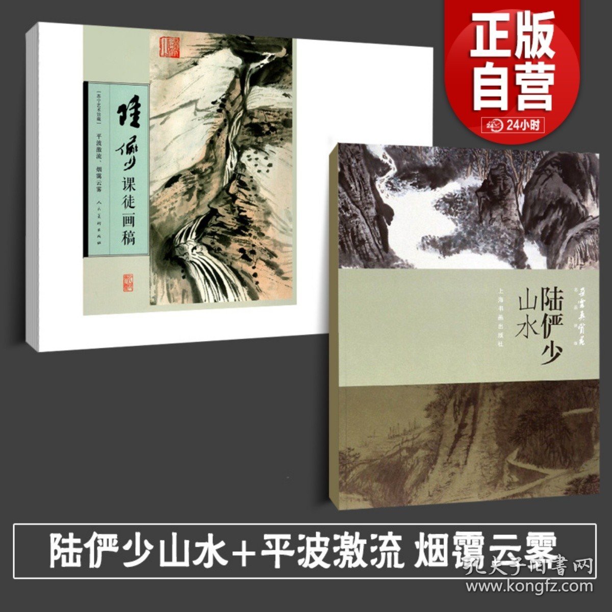 正版大8开 陆俨少课徒画稿 全集2册 树竹藤蔓平波激流烟霭云雾山水画集山峦石壁名山图卷写意花鸟画册临摹教程画法范本中国水墨画