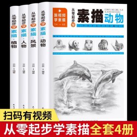 全4册 素描零基础教程从入门到精通教程材书籍植物 人物素描速写美术绘画入门基础教程教材书籍 速写基础实用教程书零基础绘画