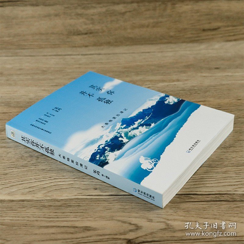其实你并不孤单川藏滇漫行记 云南西藏四川旅行漫记 西南地区线旅游书籍发现走遍中国康巴腹地藏地孤旅时光停留的地方深度游