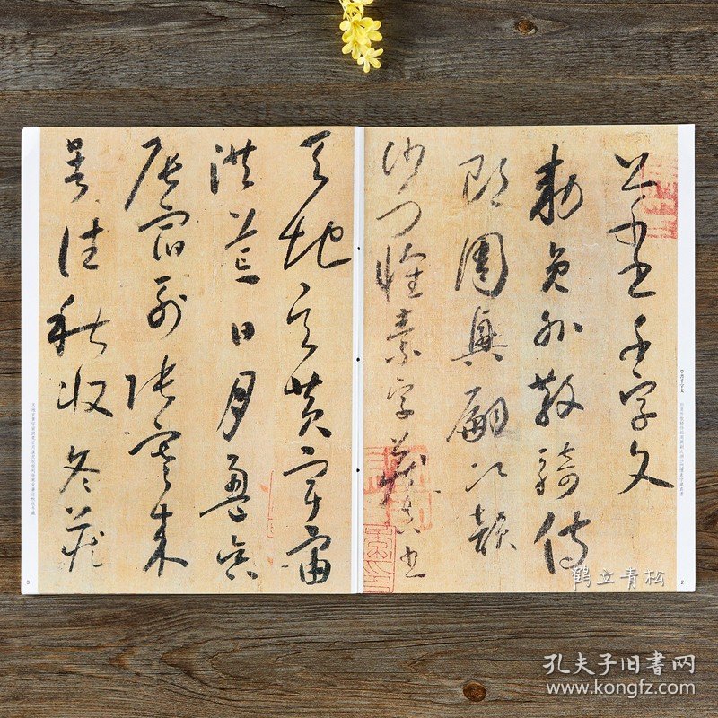 正版 怀素草书千字文 碑帖珍品临摹本 彩色放大本 繁体释文 草书毛笔书法字帖 孙宝文 吉林出版集团