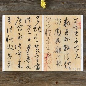 正版 怀素草书千字文 碑帖珍品临摹本 彩色放大本 繁体释文 草书毛笔书法字帖 孙宝文 吉林出版集团