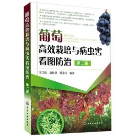 葡萄高效栽培与病虫害看图防治第二版诊断果树嫁接技术图解书农业书籍果树修剪书籍种植书籍大全葡萄种植书籍