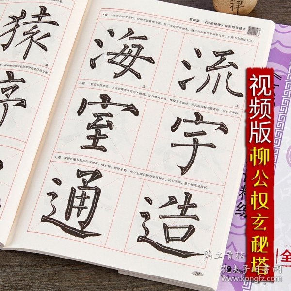 柳公权玄秘塔碑精讲精练毛笔书法等级考试培训教材升级版 视频教学楷书毛笔书法字帖艺术培训教程