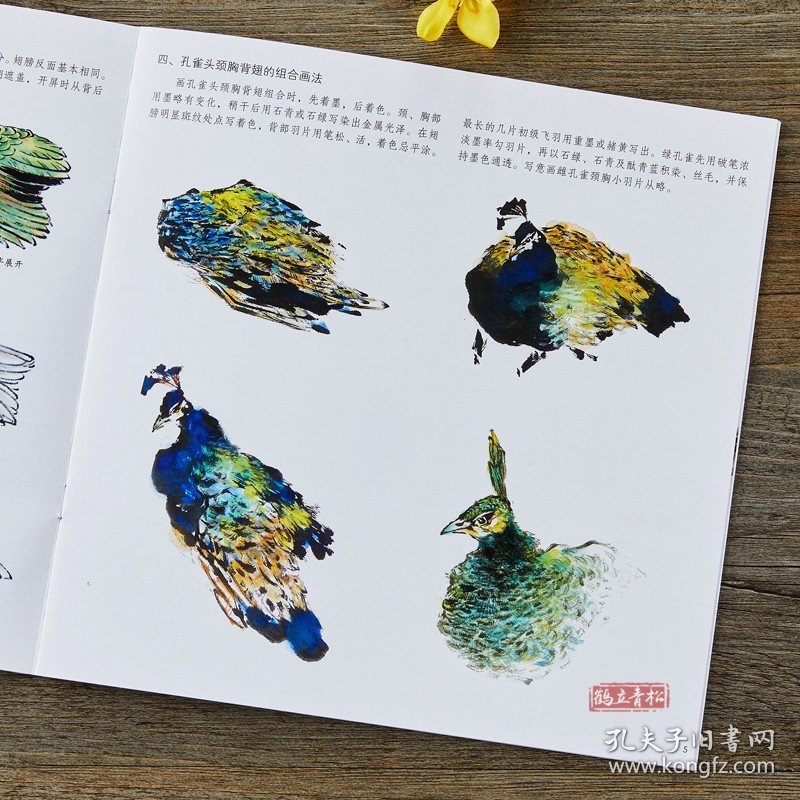 学画宝典 孔雀 中国画技法/李多木/写意翎毛画法步骤 画谱图集书籍