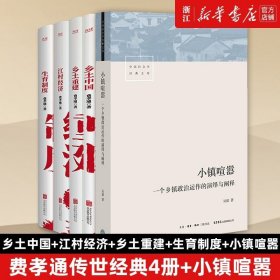 小镇喧嚣：一个乡镇政治运作的演绎与阐释